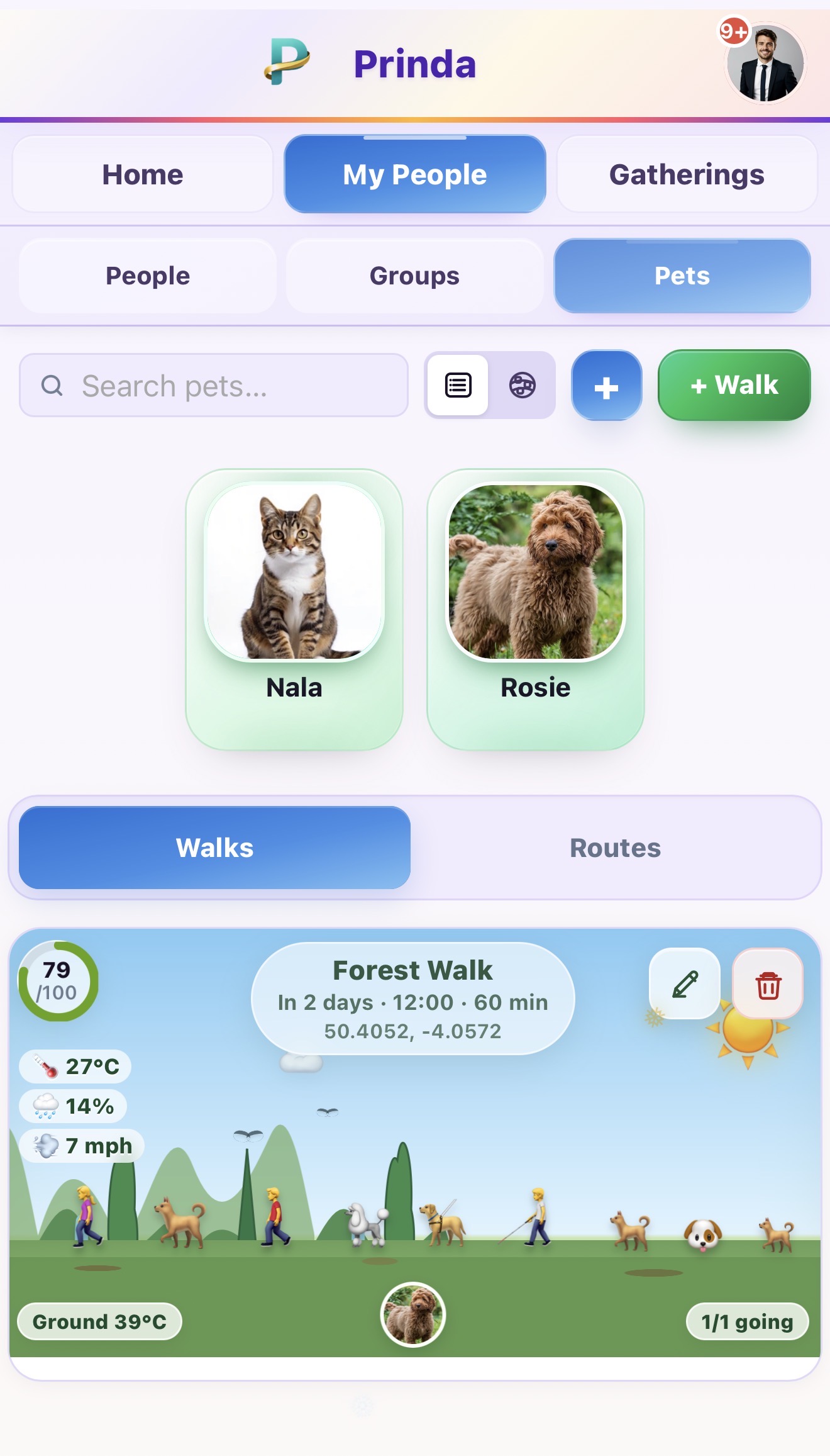 Prinda pet walk planner with comfort score, route and ground temperature